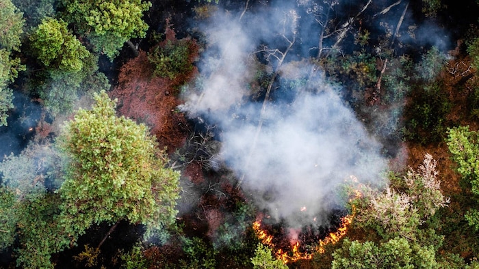 Seit Montag wütet auch ein Brand in einem Naturschutzgebiet in den Niederlanden.