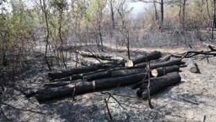 In der Lobau konnte „Brand aus“ gegeben werden.