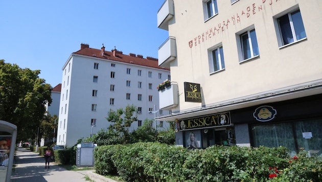 Der Tatort, eine Wohnhausanlage in Wien-Brigittenau