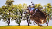 Durch Zufall stieß ein Landwirtepaar auf die Käferpopulation in Seitenstetten. 