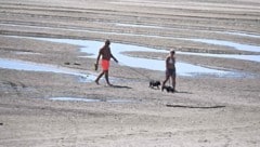 Unter normalen Umständen könnten diese beiden Hundebesitzer mit ihren Haustieren hier nicht so ...