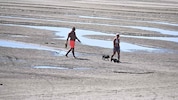 Unter normalen Umständen könnten diese beiden Hundebesitzer mit ihren Haustieren hier nicht so ...