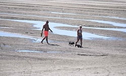 Unter normalen Umständen könnten diese beiden Hundebesitzer mit ihren Haustieren hier nicht so ...