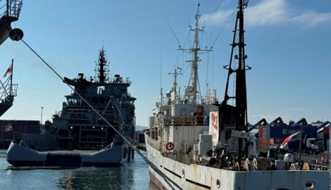 In Island haben 21 Aktivistinnen und Aktivisten versucht, ein Walfang-Schiff zu sabotieren.