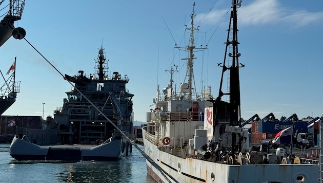 In Island haben 21 Aktivistinnen und Aktivisten versucht, ein Walfang-Schiff zu sabotieren.
