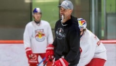 Eisbullen-Chefcoach Alan Letang.