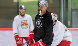 Eisbullen-Chefcoach Alan Letang.