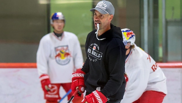 Eisbullen-Chefcoach Alan Letang.