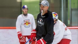 Eisbullen-Chefcoach Alan Letang.