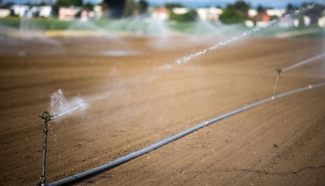 Die Beamten feilschen am Donnerstag um neue Hilfen für die Landwirtschaft.