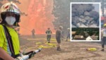 Rund 500 Helfer bekämpfen den Waldbrand im Bezirk Neunkirchen.