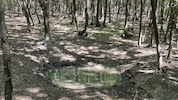 Mit Wasser befüllt, lebenswichtig für Wildtiere bei Hitze.