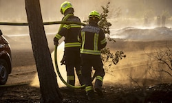 Die Einsatzkräfte kämpften seit den Mittwochnachmittagsstunden gegen die Flammen.