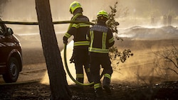 Die Einsatzkräfte kämpften seit den Mittwochnachmittagsstunden gegen die Flammen.
