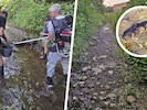 730 Fische wurden in drei Tagen vom fast ausgetrockneten Schlattenbach in die benachbarte Pitten ...