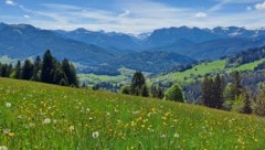 Österreich ist nach wie vor eines der sicherten, reichsten und sozialsten Länder der Welt – ...