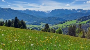 Rubina Bergauer Österreich ist nach wie vor eines der sicherten, reichsten und sozialsten Länder der Welt – ...