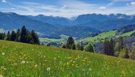 Österreich ist nach wie vor eines der sicherten, reichsten und sozialsten Länder der Welt – ...
