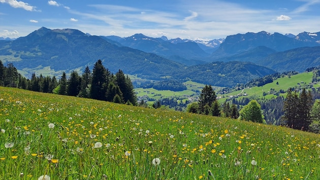 Österreich ist nach wie vor eines der sicherten, reichsten und sozialsten Länder der Welt – ...