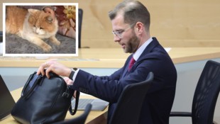 Rechtsanwalt Matthias Holzmann verteidigte zwei der freigesprochenen Tiroler, die den Kater ...