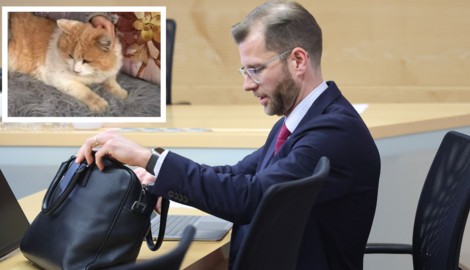 Rechtsanwalt Matthias Holzmann verteidigte zwei der freigesprochenen Tiroler, die den Kater ...