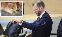 Rechtsanwalt Matthias Holzmann verteidigte zwei der freigesprochenen Tiroler, die den Kater ...