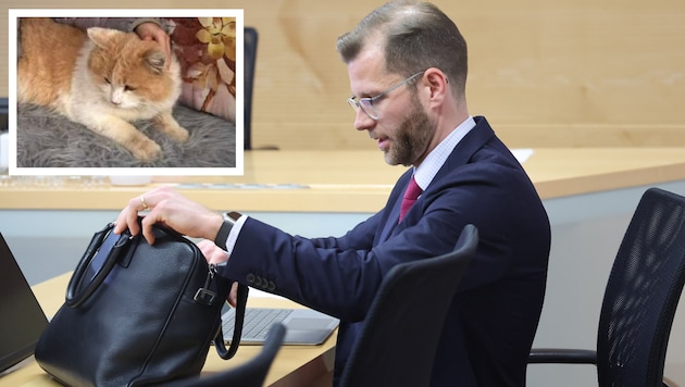 Rechtsanwalt Matthias Holzmann verteidigte zwei der freigesprochenen Tiroler, die den Kater ...