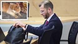 Rechtsanwalt Matthias Holzmann verteidigte zwei der freigesprochenen Tiroler, die den Kater ...