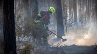 Noch immer sind die Feuerwehrleute mit dem Löschen von Glutnestern beschäftigt – auch die ganze ...