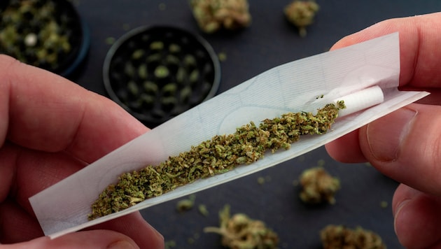 „Gras“ bzw. Marihuana hat einen deutlich höheren THC-Wert als Cannabis – und ist daher auch als ...