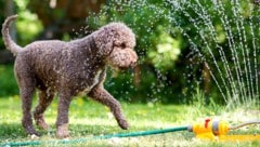 Wasserspiele im Garten sollte man nun eher nicht machen.