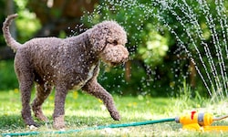 Wasserspiele im Garten sollte man nun eher nicht machen.
