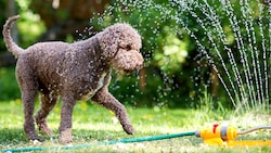 Wasserspiele im Garten sollte man nun eher nicht machen.