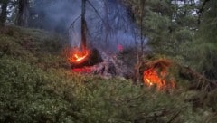 Der Brand brach in unwegsamem Gelände aus.