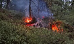 Der Brand brach in unwegsamem Gelände aus.