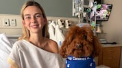 Familie und Fans trauern um TikTok-Star Sydney Towle: Die Influencerin verlor mit nur 26 Jahren ...