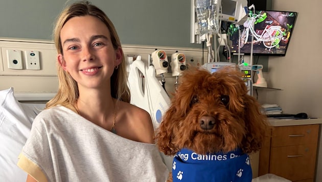 Familie und Fans trauern um TikTok-Star Sydney Towle: Die Influencerin verlor mit nur 26 Jahren ...