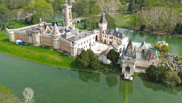 Der schwere Arbeitsunfall ereignete sich im Schlosspark Laxenburg, Bezirk Mödling, einem ...