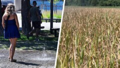 Sechs Tage mit Werten von 40 Grad und mehr – der Extremsommer 2026