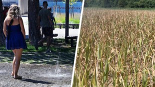 Sechs Tage mit Werten von 40 Grad und mehr – der Extremsommer 2026