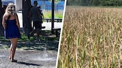 Sechs Tage mit Werten von 40 Grad und mehr – der Extremsommer 2026