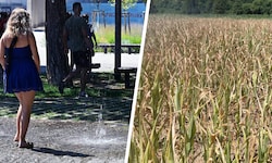 Sechs Tage mit Werten von 40 Grad und mehr – der Extremsommer 2026