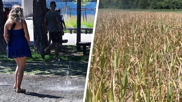 Six days with temperatures of 40 degrees and higher—the extreme summer of 2026