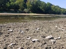 Das wenige verbliebene Wasser in den Donaualtarmen in Haslau-Maria Ellend erwärmt sich dieser ...