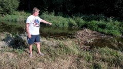 Friedrich Fürst zeigt auf das Biber-Hindernis in der Zwettl für sein Fischwanderhilfe.