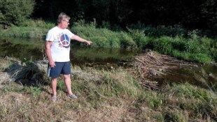 Friedrich Fürst zeigt auf das Biber-Hindernis in der Zwettl für sein Fischwanderhilfe.