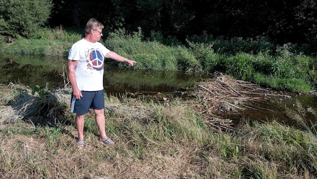 Friedrich Fürst zeigt auf das Biber-Hindernis in der Zwettl für sein Fischwanderhilfe.