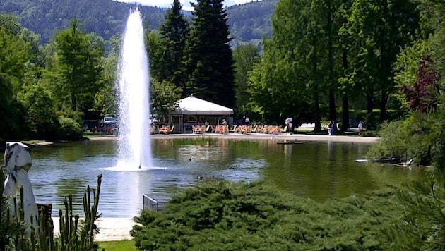 Dieses idyllische Café liegt mitten im Europapark.