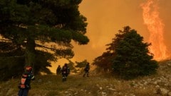 In Griechenland sind drei Personen wegen des Verdachts der Brandstiftung festgenommen worden. In ...