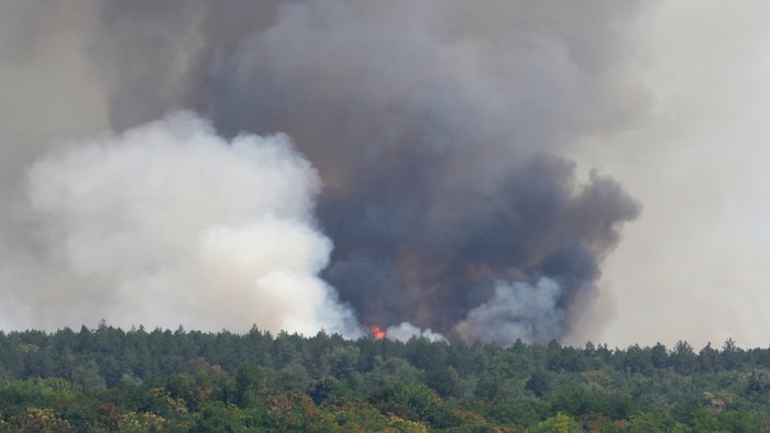 Auch in Serbien kämpft die Feuerwehr derzeit gegen Waldbrände.